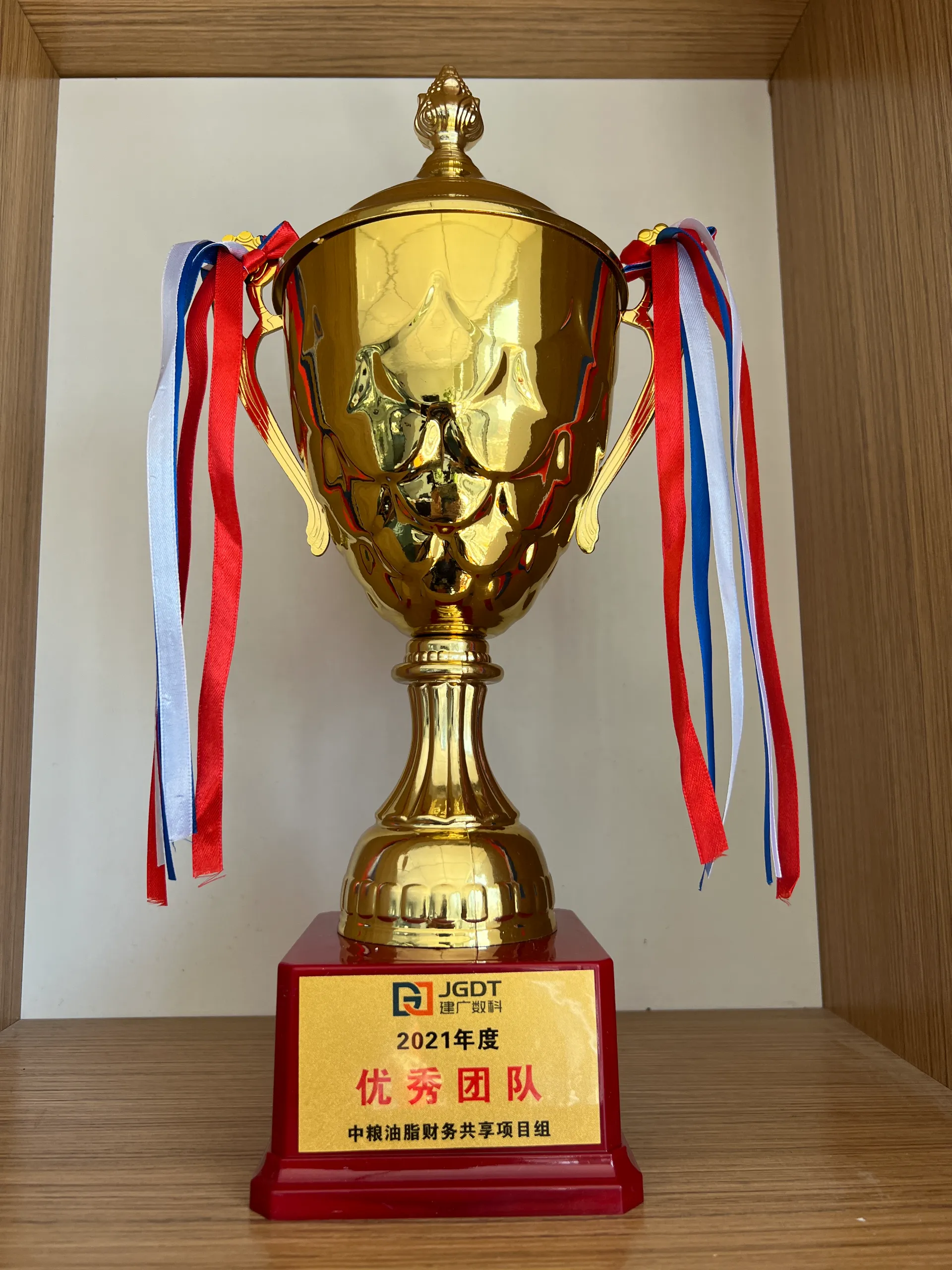 中粮油脂财务共享项目组-最佳团队