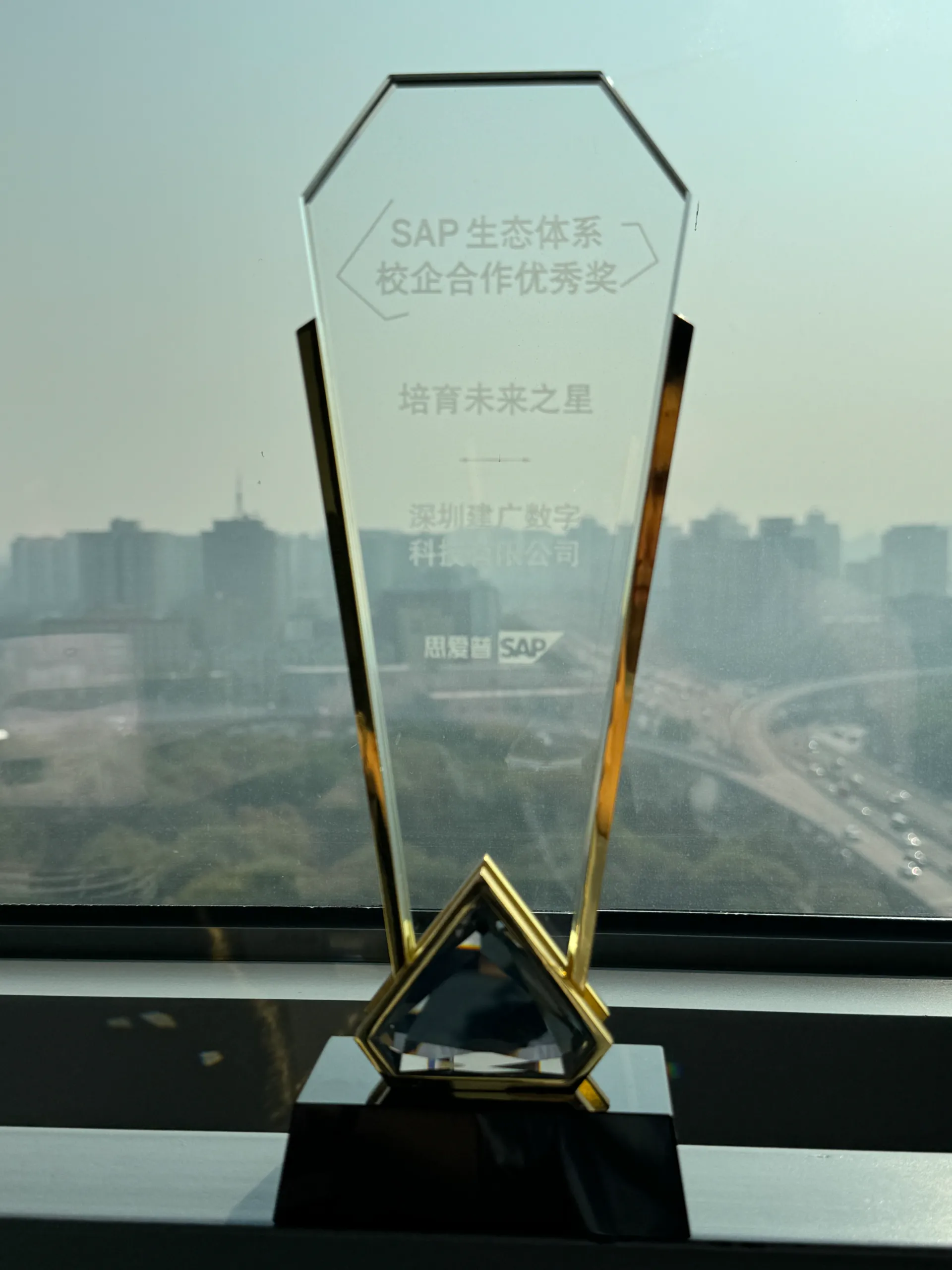 SAP校企合作优秀奖