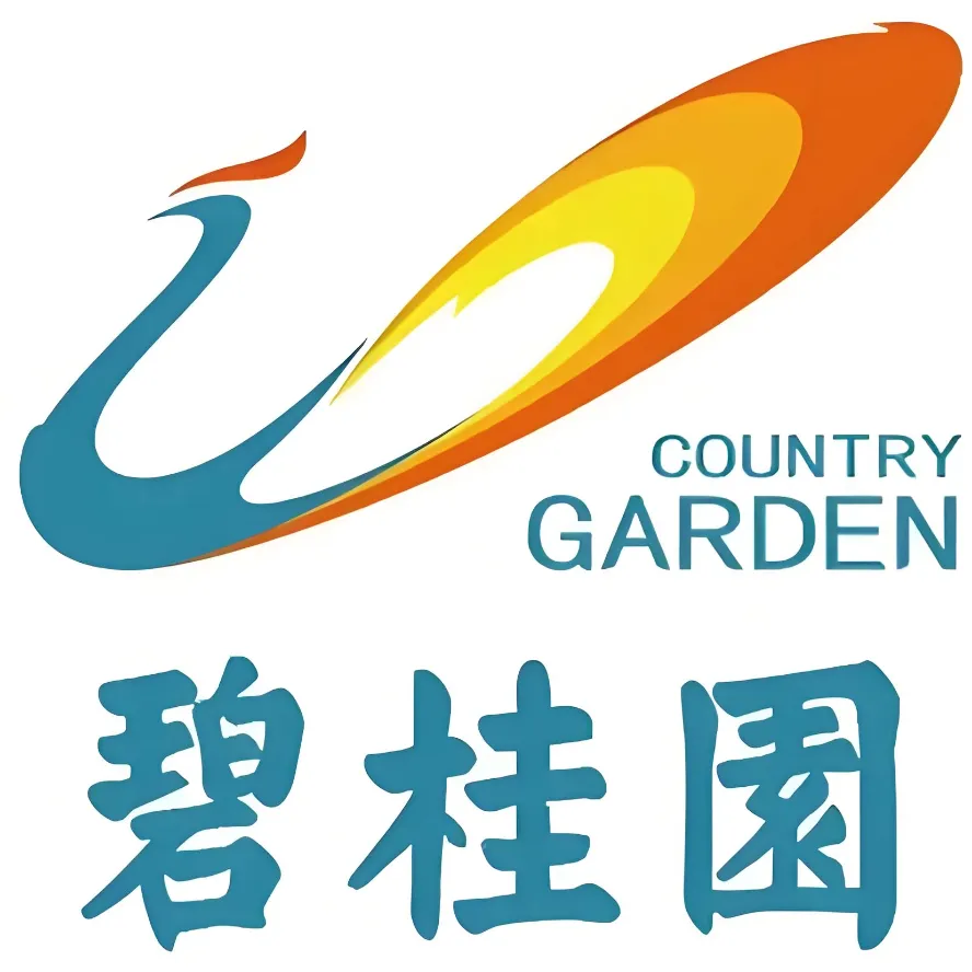合作伙伴